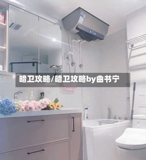 暗卫攻略/暗卫攻略by曲书宁