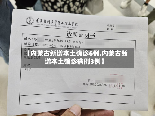 【内蒙古新增本土确诊6例,内蒙古新增本土确诊病例3例】-第2张图片
