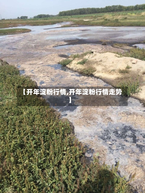 【开年淀粉行情,开年淀粉行情走势】-第2张图片