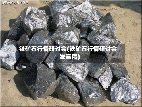 铁矿石行情研讨会(铁矿石行情研讨会发言稿)-第3张图片