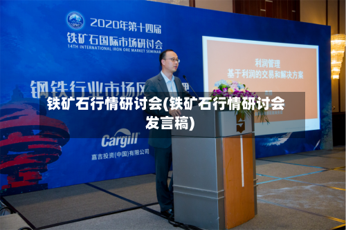 铁矿石行情研讨会(铁矿石行情研讨会发言稿)-第2张图片