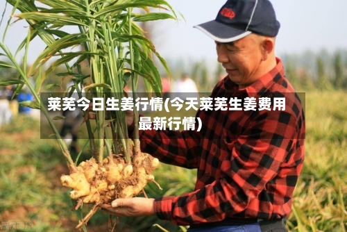 莱芜今日生姜行情(今天莱芜生姜费用最新行情)-第2张图片