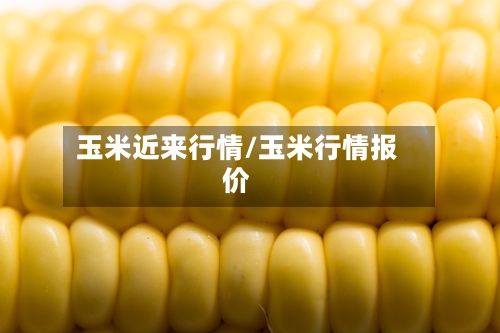 玉米近来行情/玉米行情报价-第2张图片