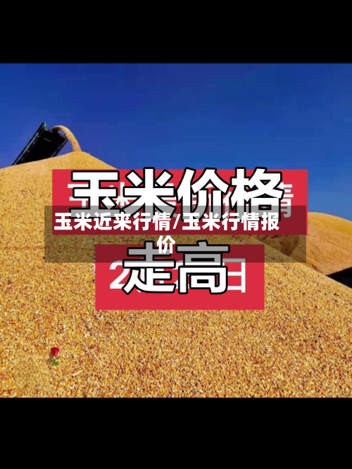 玉米近来行情/玉米行情报价-第3张图片