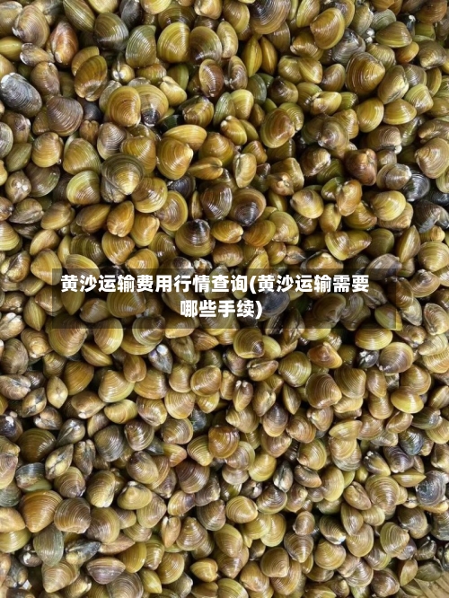 黄沙运输费用行情查询(黄沙运输需要哪些手续)-第2张图片