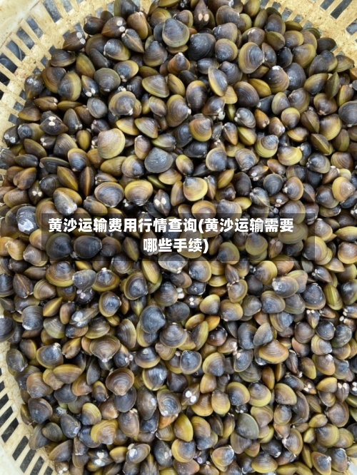 黄沙运输费用行情查询(黄沙运输需要哪些手续)-第1张图片