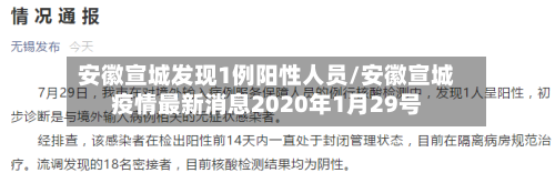 安徽宣城发现1例阳性人员/安徽宣城疫情最新消息2020年1月29号-第2张图片