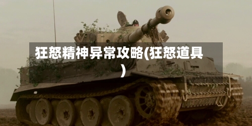 狂怒精神异常攻略(狂怒道具)