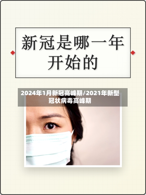 2024年1月新冠高峰期/2021年新型冠状病毒高峰期-第3张图片