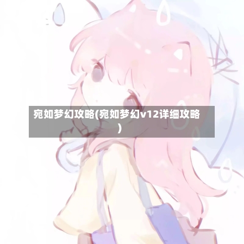 宛如梦幻攻略(宛如梦幻v12详细攻略)-第3张图片
