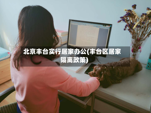 北京丰台实行居家办公(丰台区居家隔离政策)-第1张图片