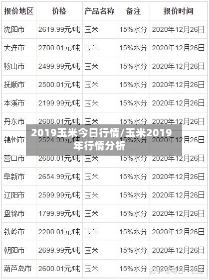 2019玉米今日行情/玉米2019年行情分析