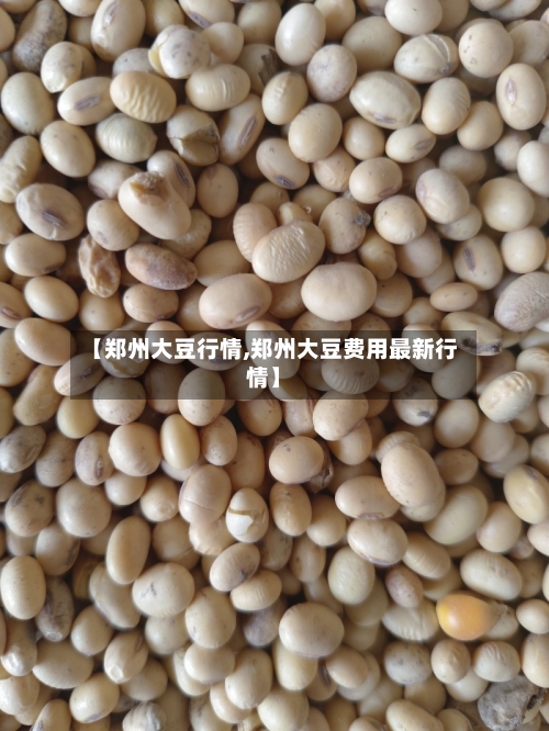 【郑州大豆行情,郑州大豆费用最新行情】-第3张图片