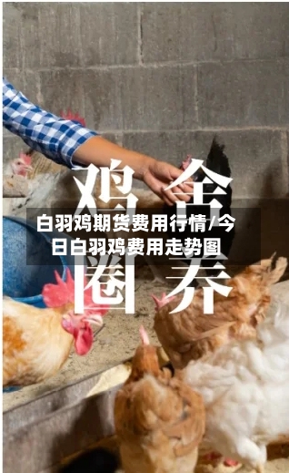 白羽鸡期货费用行情/今日白羽鸡费用走势图-第3张图片