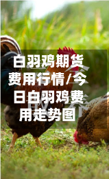 白羽鸡期货费用行情/今日白羽鸡费用走势图-第2张图片