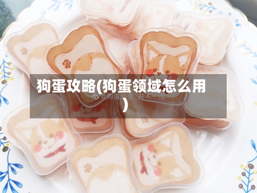 狗蛋攻略(狗蛋领域怎么用)-第2张图片