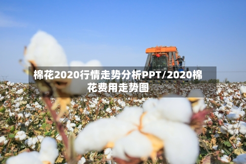 棉花2020行情走势分析PPT/2020棉花费用走势图