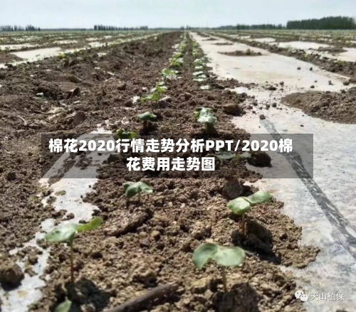 棉花2020行情走势分析PPT/2020棉花费用走势图-第2张图片