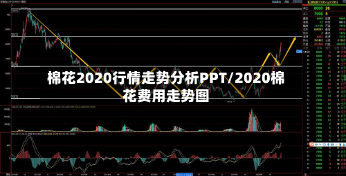 棉花2020行情走势分析PPT/2020棉花费用走势图-第3张图片