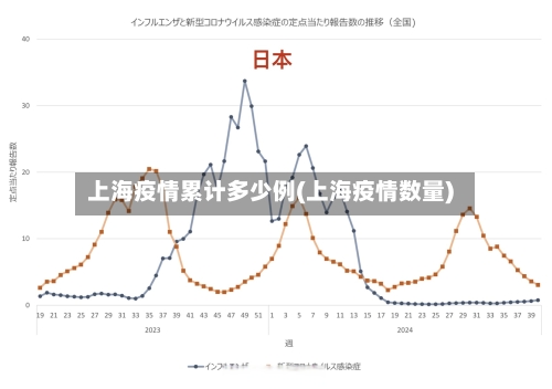 上海疫情累计多少例(上海疫情数量)