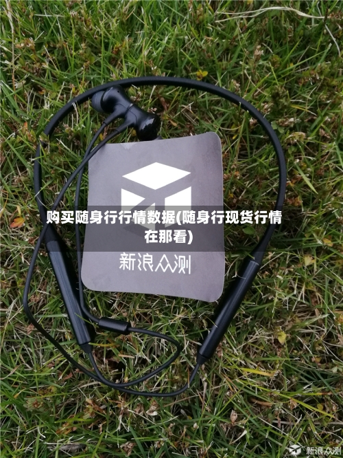 购买随身行行情数据(随身行现货行情在那看)