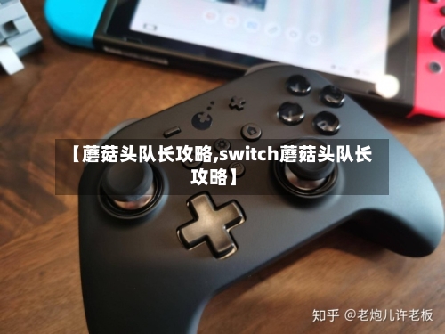 【蘑菇头队长攻略,switch蘑菇头队长攻略】