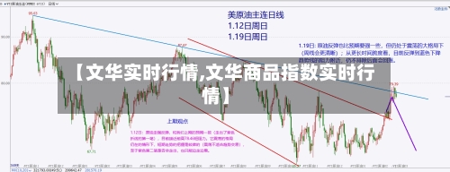 【文华实时行情,文华商品指数实时行情】-第2张图片