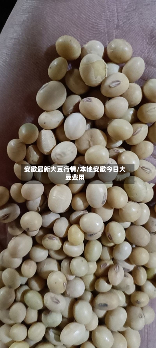 安徽最新大豆行情/本地安徽今日大豆费用