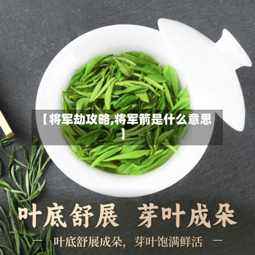 【将军劫攻略,将军箭是什么意思】-第2张图片