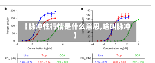 【脉冲性行情是什么意思,啥叫脉冲】-第3张图片