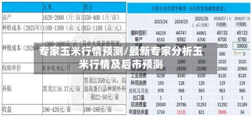 专家玉米行情预测/最新专家分析玉米行情及后市预测-第2张图片