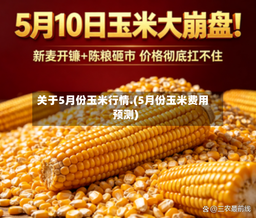 关于5月份玉米行情.(5月份玉米费用预测)