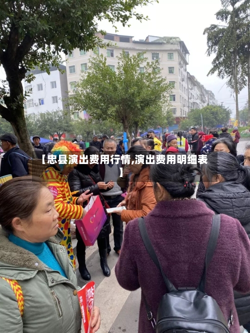 【忠县演出费用行情,演出费用明细表】