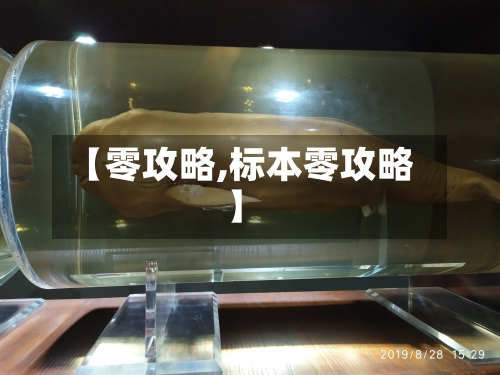 【零攻略,标本零攻略】-第3张图片