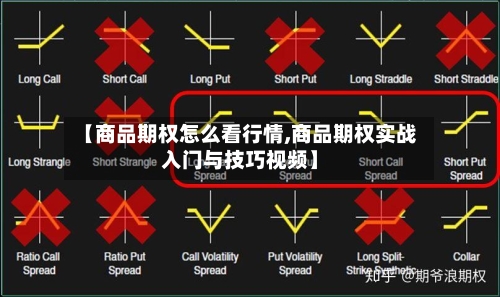 【商品期权怎么看行情,商品期权实战入门与技巧视频】-第1张图片