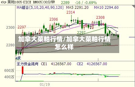加拿大菜粕行情/加拿大菜粕行情怎么样-第2张图片