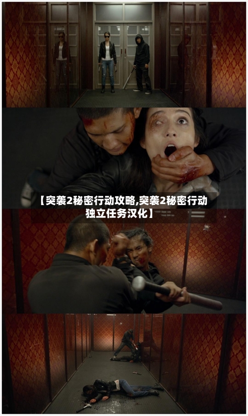 【突袭2秘密行动攻略,突袭2秘密行动独立任务汉化】