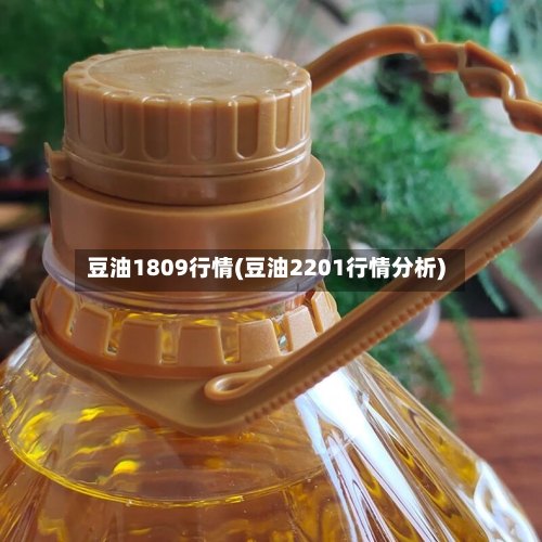 豆油1809行情(豆油2201行情分析)