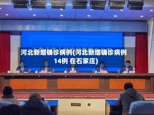 河北新增确诊病例(河北新增确诊病例14例 在石家庄)-第2张图片