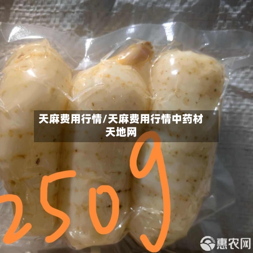 天麻费用行情/天麻费用行情中药材天地网-第1张图片