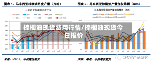 棕榈油现货费用行情/棕榈油现货今日报价-第3张图片
