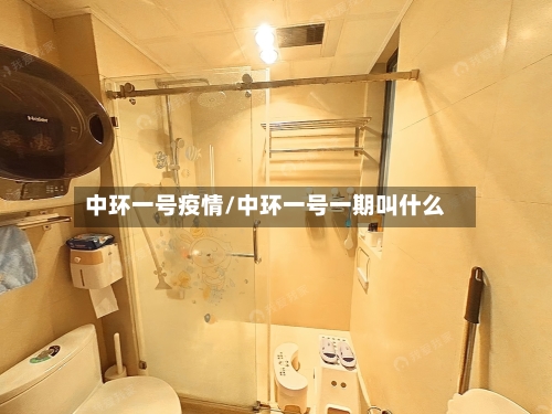 中环一号疫情/中环一号一期叫什么-第2张图片