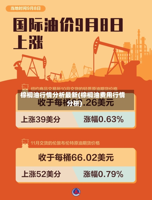 棕榈油行情分析最新(棕榈油费用行情分析)