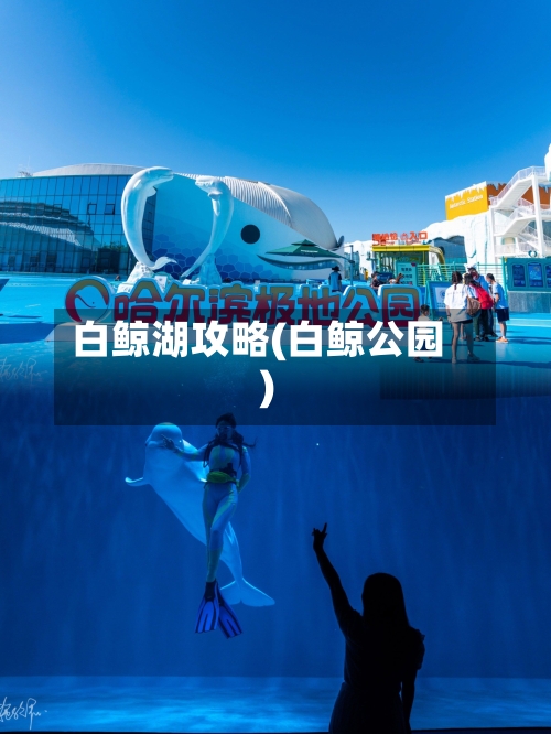 白鲸湖攻略(白鲸公园)