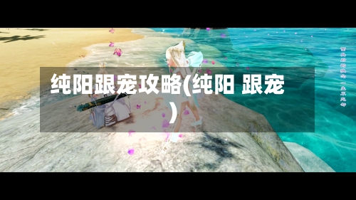 纯阳跟宠攻略(纯阳 跟宠)-第2张图片