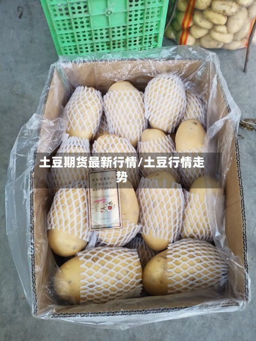 土豆期货最新行情/土豆行情走势-第3张图片