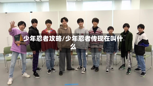 少年忍者攻略/少年忍者传现在叫什么-第2张图片