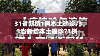 31省新增1例本土确诊/31省新增本土确诊71例-第3张图片
