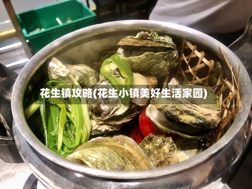 花生镇攻略(花生小镇美好生活家园)