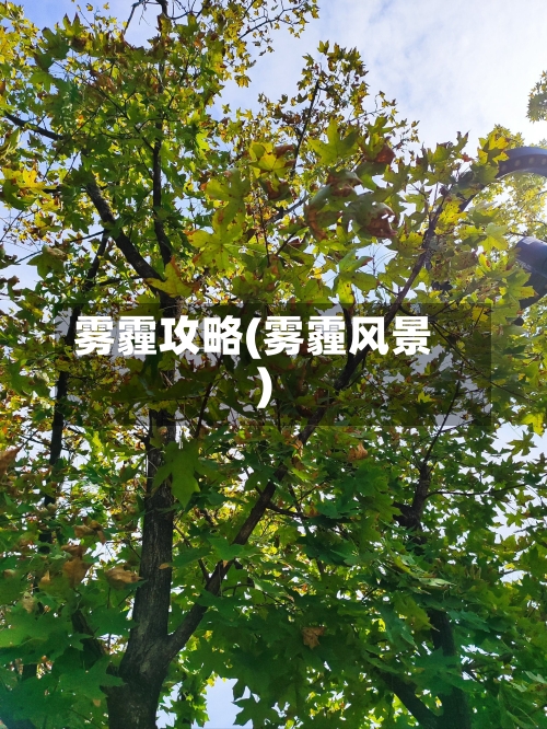 雾霾攻略(雾霾风景)-第2张图片